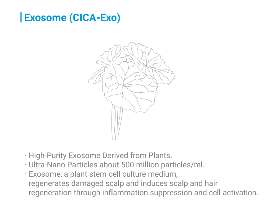Velash Exo Plus - Image 3